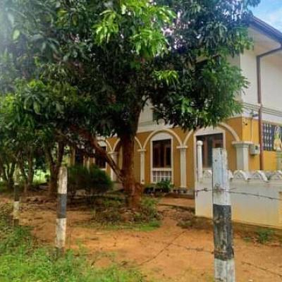 Fb Img 16518146995115552