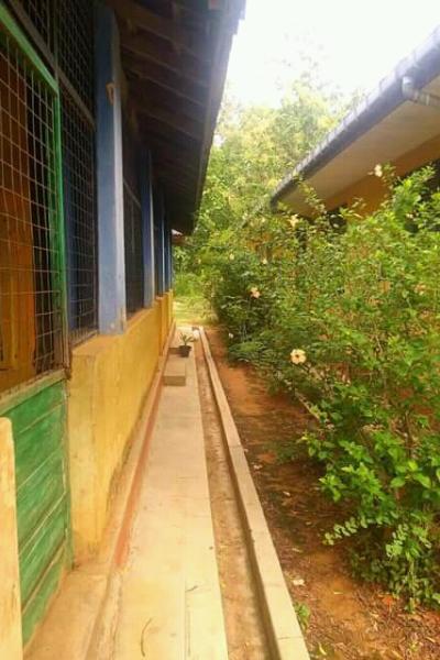 Fb Img 16518147918237776