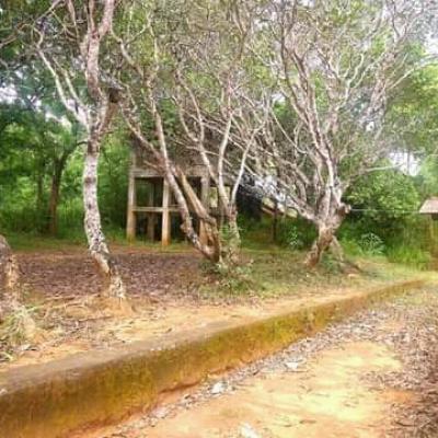 Fb Img 16518147954321449