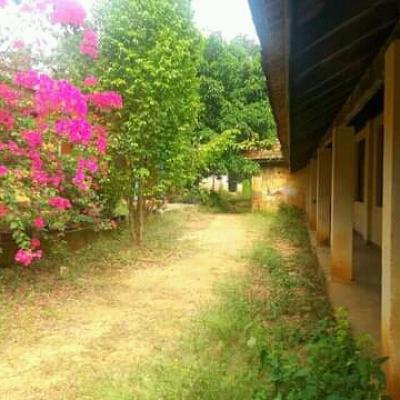 Fb Img 16518148147659084