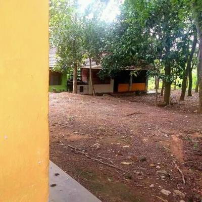 Fb Img 16518148356999324